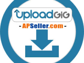 UploadGIG Premium – UploadGIG Premium Shopping Service