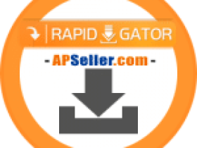 RapidGator 高级帐号 激活码 卡密 白金会员 – 客户购买专页