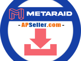 MetaRaid Premium激活码 卡密 白金会员 – 客户购买专页