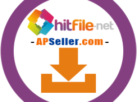 HitFile Premium – HitFile Premium Shopping Service