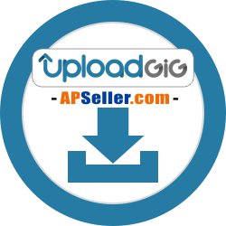 UploadGIG Premium激活码 卡密 白金会员 – 客户购买专页